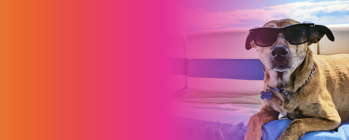 MSL erneut auf Platz 2 im PR-Journal Kreativranking